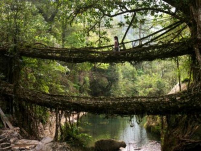 بالصور: أجمل وأغرب جسور العالم