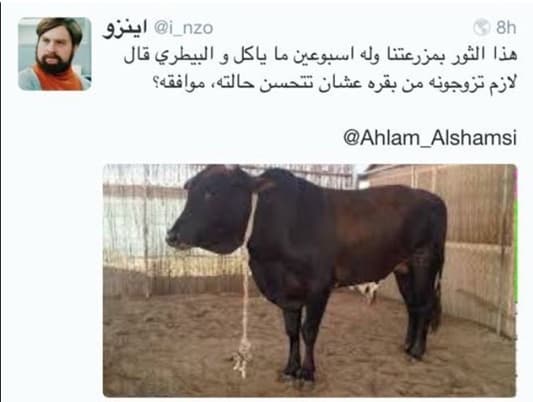 Ahlam, Follower Engage in Fiery Twitter Battle 