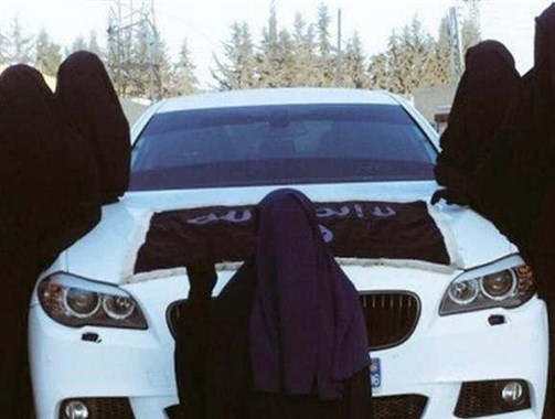 Main Highlight Image