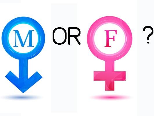 "أنا صبي أو بنت؟"