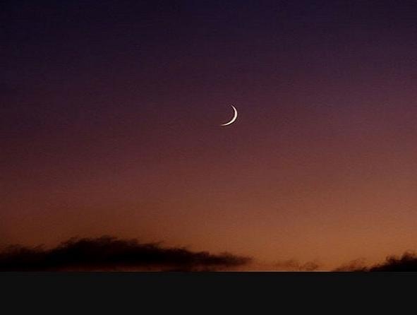 منافسة من نوع آخر بين الفنّانين