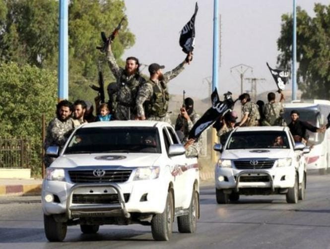 "كتالوج" بالمقاتلين لاختيار ازواج