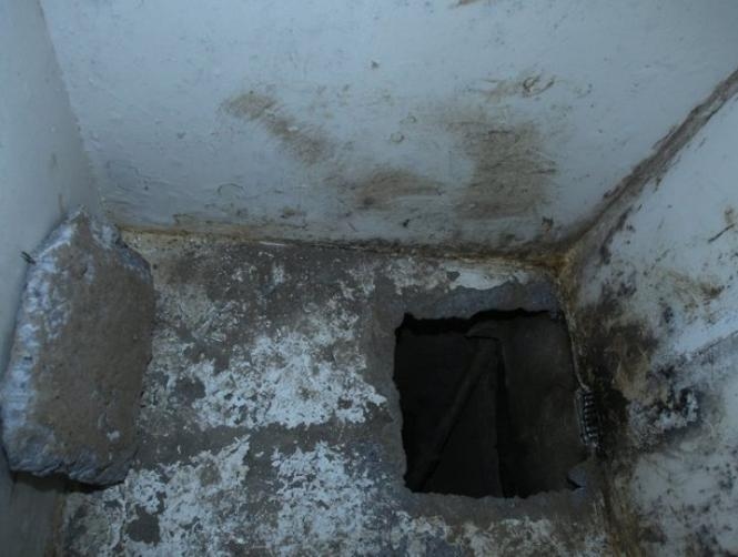 Main Highlight Image