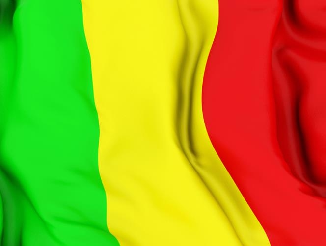 AFP: Malian forces arrested 5 suspects in al-Qaeda attack that left 11 soldiers dead