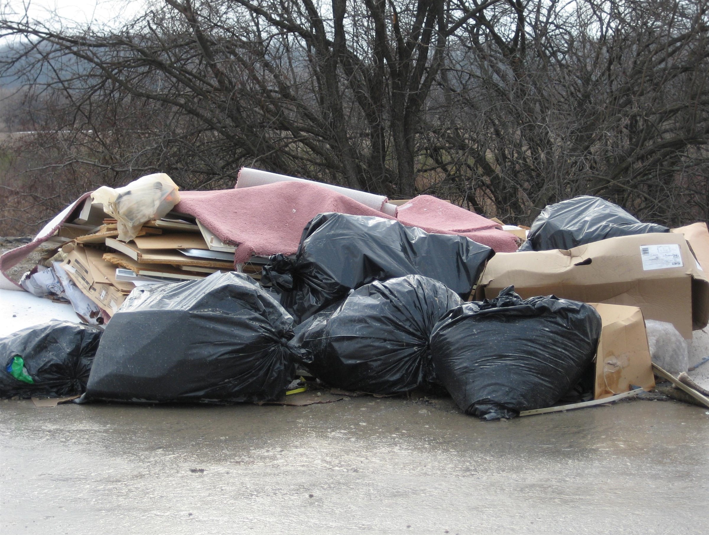 Something Smells like A Roadkill and Its Not Our Politicians 