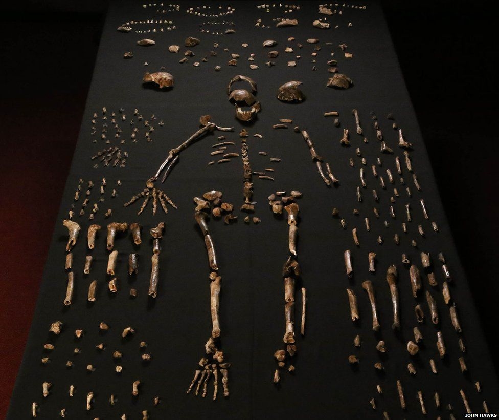 Scientists Discover Fossils of New Human-like Species