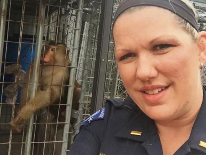 بالصور: قرد يأكل رسائل البريد ويلعب في الشارع