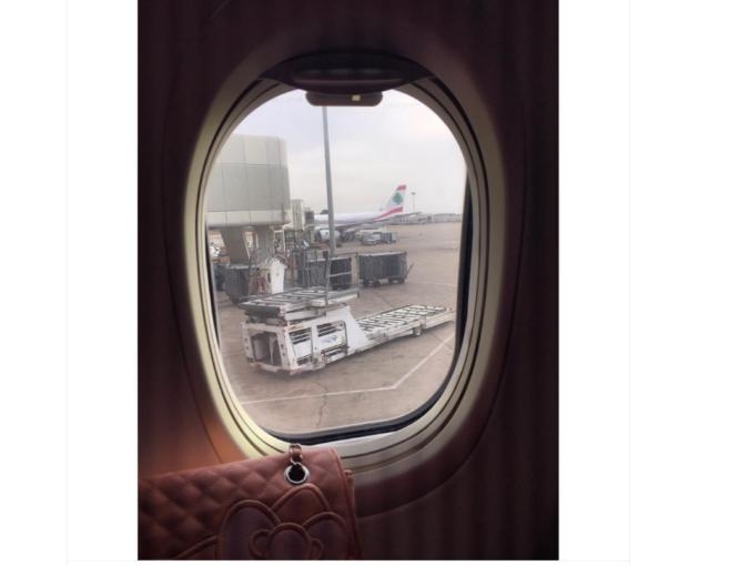 هذا ما قالته كارولينا دي أوليفيرا عن "أرزات" لبنان