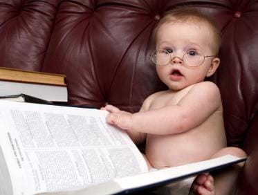 ما علاقة الذّكاء بحجم المخّ؟