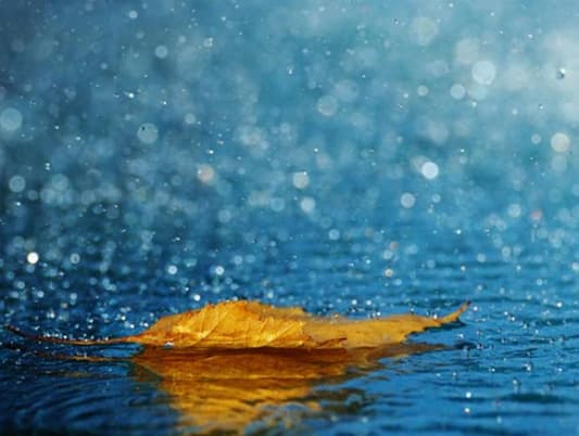 درجات الحرارة تنخفض تدريجا اليوم وتصبح الأجواء مهيأة لتساقط أمطار ليلا