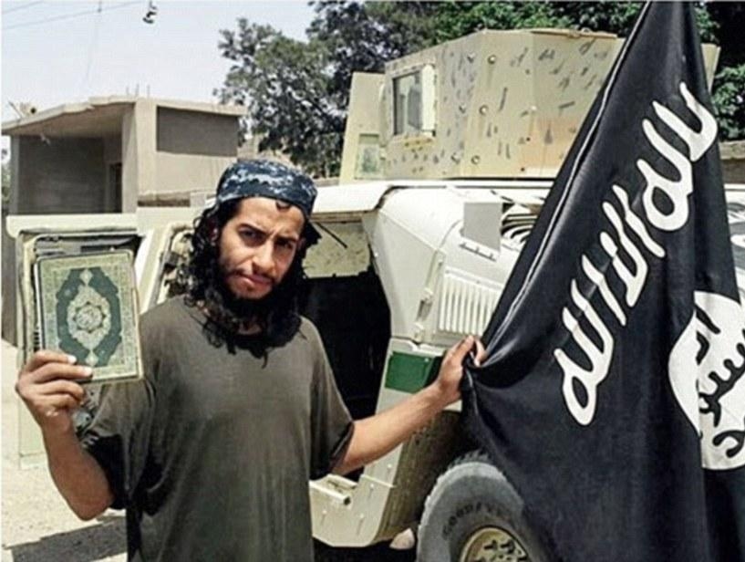 Main Highlight Image