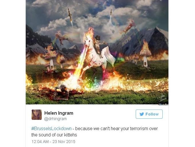 Belgium Fights Terrorism with Cat Meme on #BrusselsLockdown