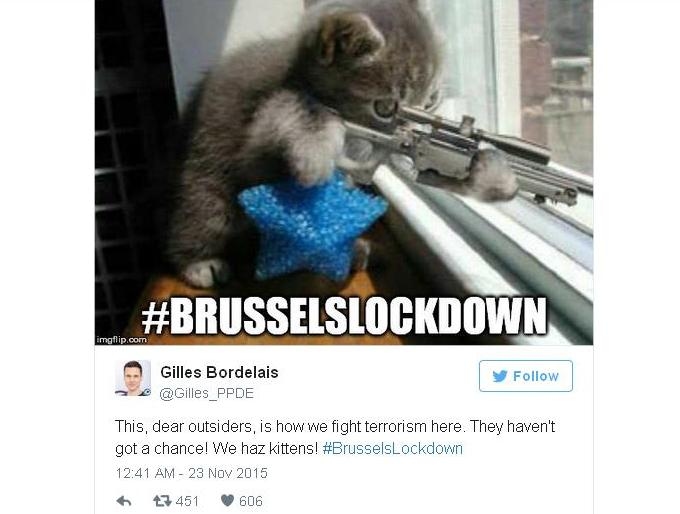 Belgium Fights Terrorism with Cat Meme on #BrusselsLockdown