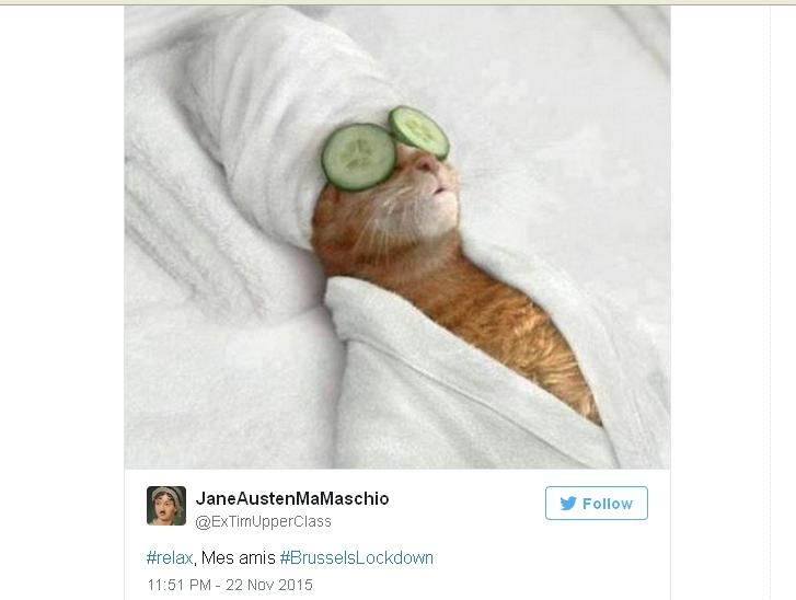 Belgium Fights Terrorism with Cat Meme on #BrusselsLockdown