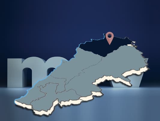 مجهولون قطعوا عددا من الأشجار المعمرة