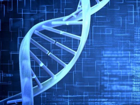 China 'Clone Factory' Scientist Ready to Replicate Humans