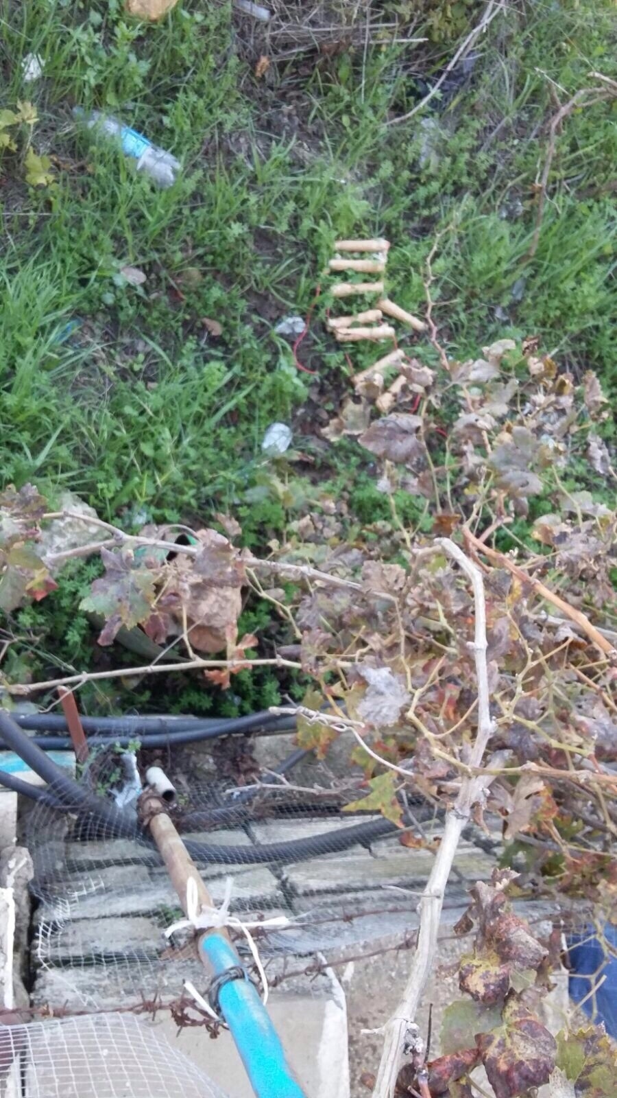 بالصورة: الاشتباه بجسم غريب في الشمال