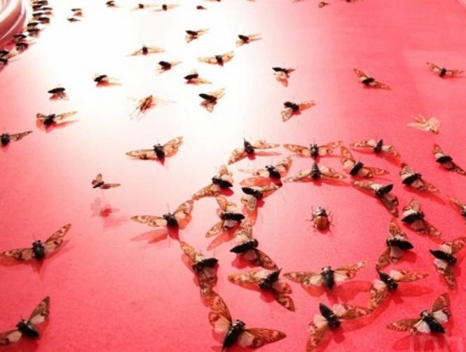 بالصور: زيّنت الغرفة بـ 5000 حشرة