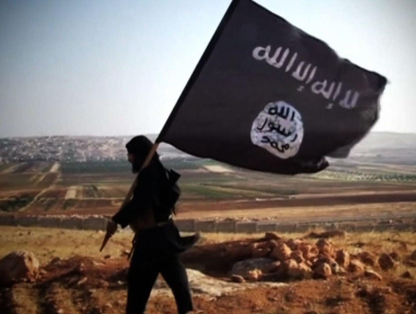 Main Highlight Image