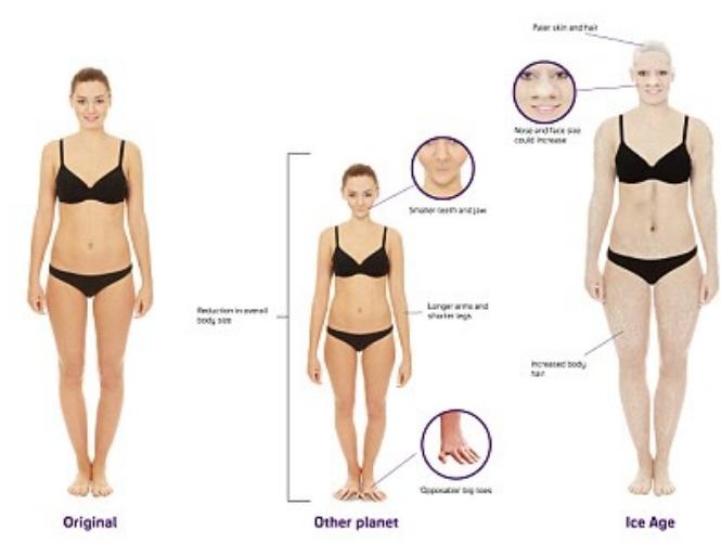 Main Highlight Image