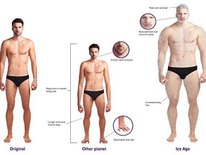 Humans Could Develop Webbed Feet, Cat Eyes and Gills to Deal with Global Warming Effects