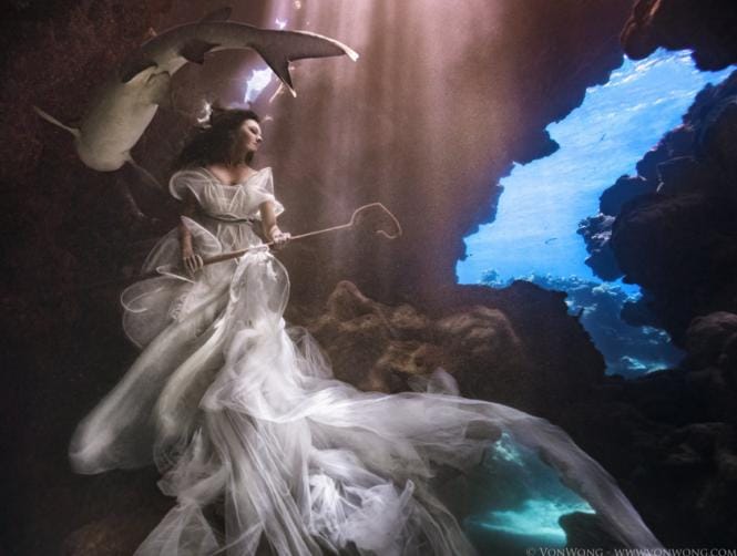 Model Poses Underwater with Real Sharks to Stop Finning