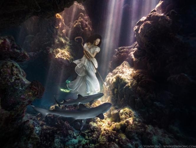 Model Poses Underwater with Real Sharks to Stop Finning