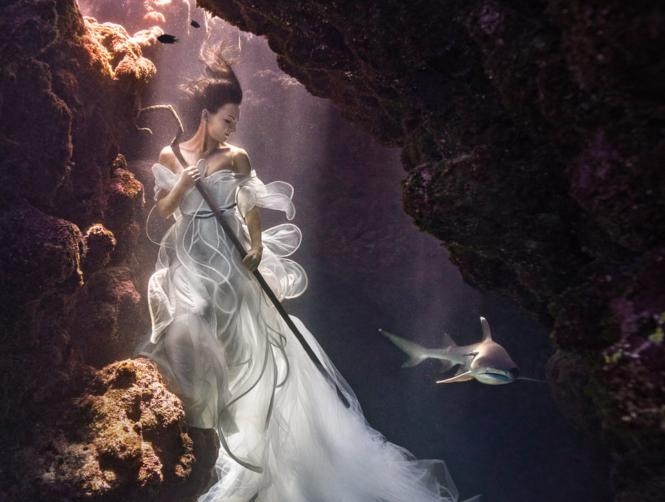 Model Poses Underwater with Real Sharks to Stop Finning