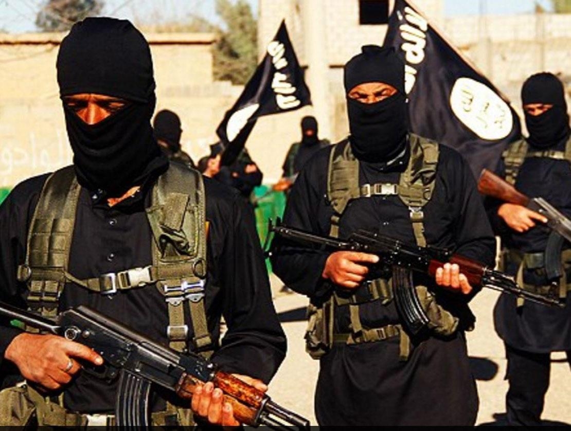 Main Highlight Image