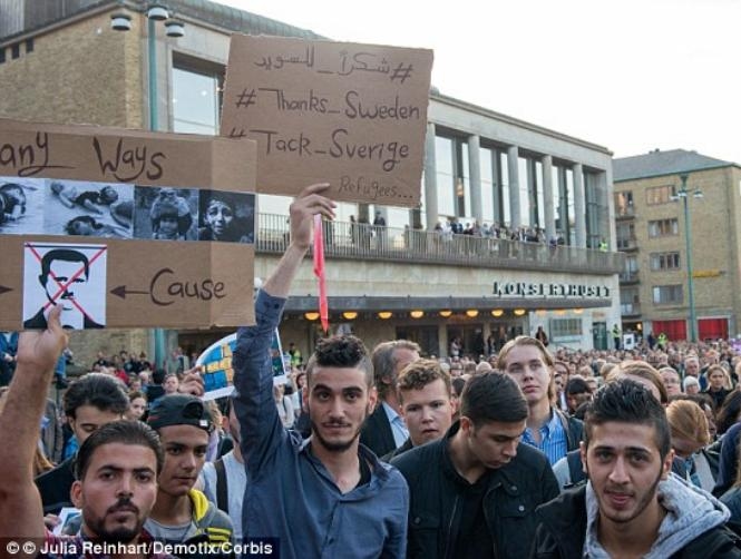 Main Highlight Image