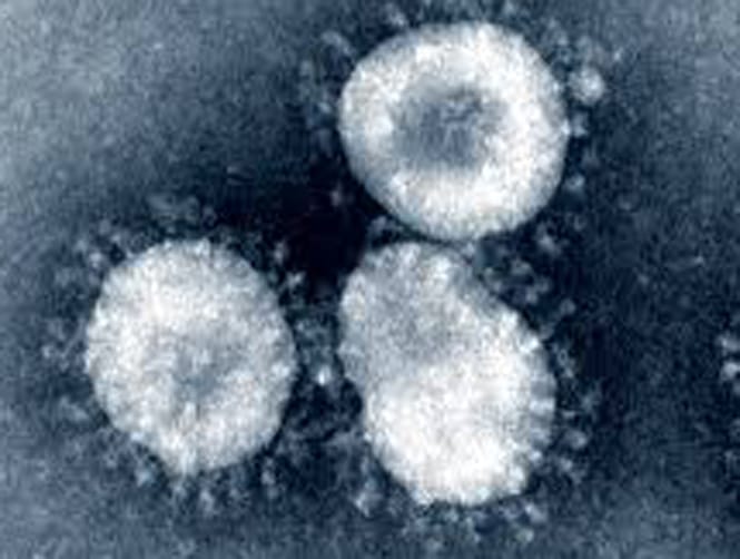 الامارات تعلن وفاة مواطن بفيروس كورونا