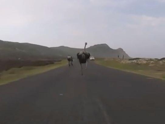 Main Highlight Image