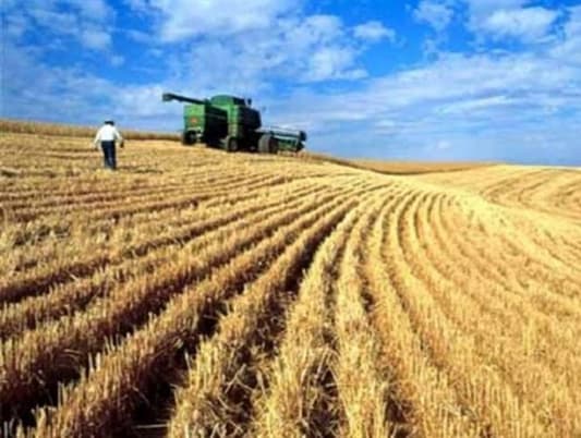 مزارعو القمح: دفع التعويضات يؤدي الى تفعيل الاقتصاد