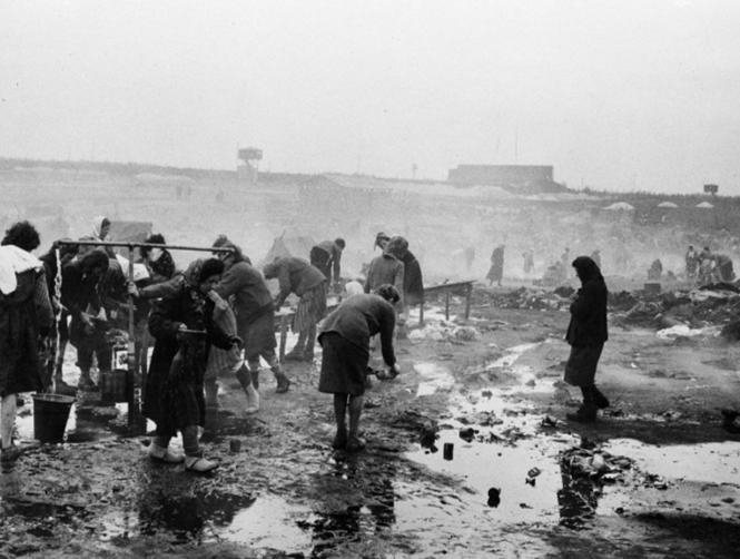 Main Highlight Image