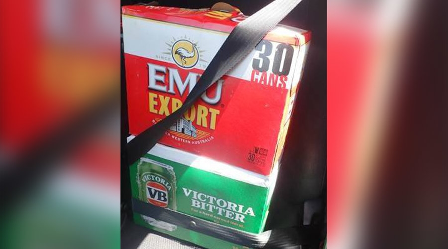 Driver Charged for Putting Seatbelt on Beer instead of Children 