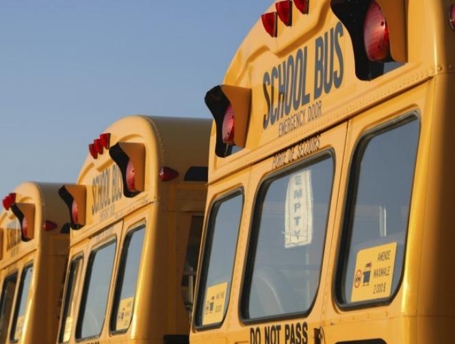 Main Highlight Image