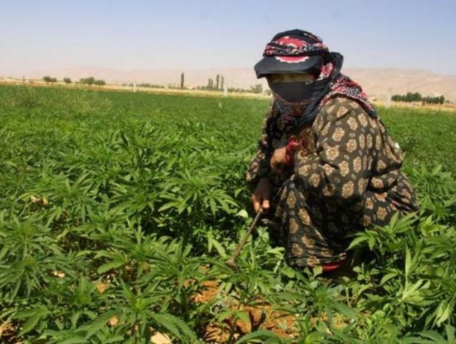 Main Highlight Image