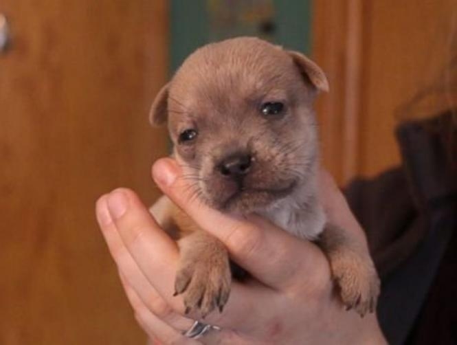 Main Highlight Image