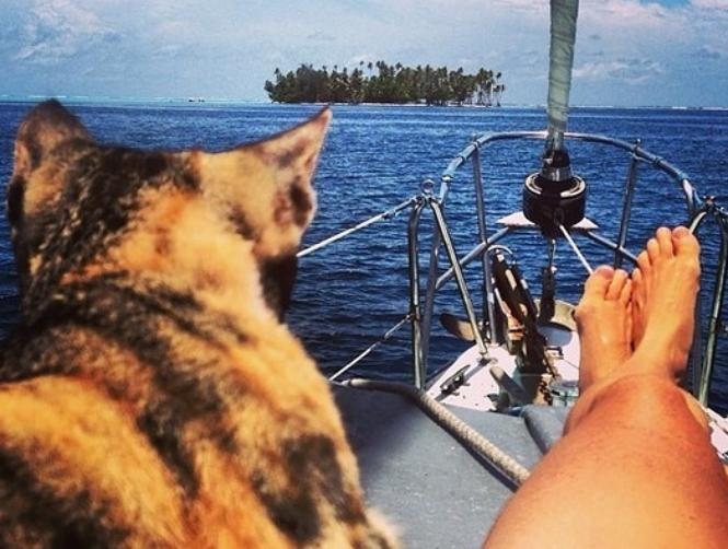 Woman Sails around The World on Boat with Pet Cat