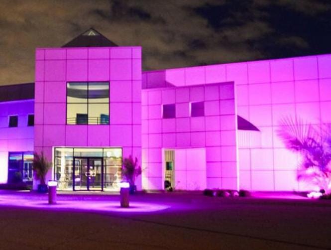 Have a Look: Inside Prince's $10 Million Home 