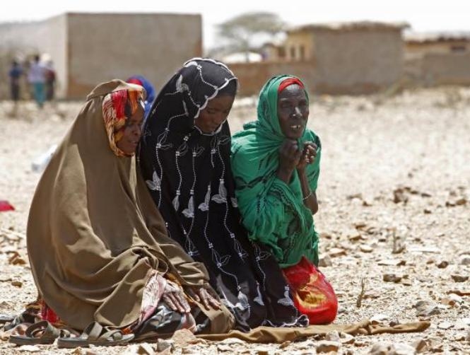 Main Highlight Image