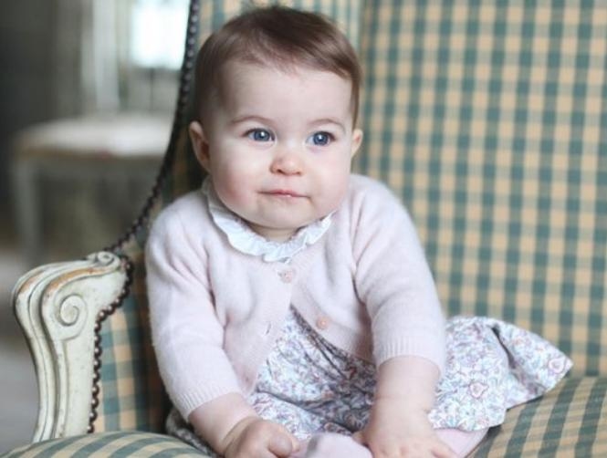 Main Highlight Image