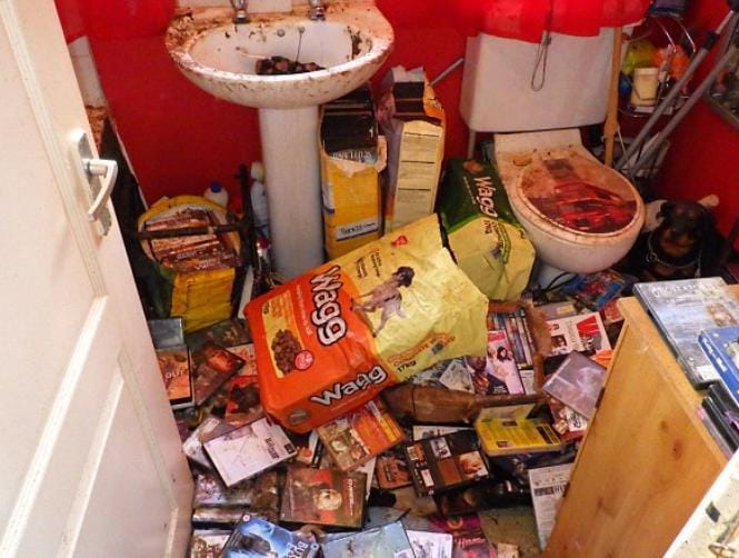 Woman Jailed after Home Was Found Littered with Dead, Decomposing Pets