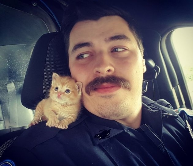 Cop Who Rescued Kitten Now Flooded With Marriage Proposals