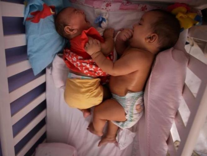 Main Highlight Image