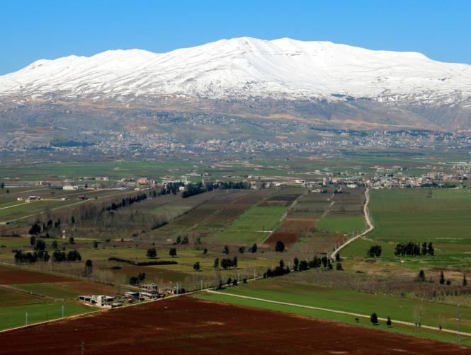 فوز 5 بلديات بالتزكية في الشوف