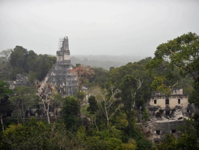 15 Year Old Discovers 'Lost Mayan City'