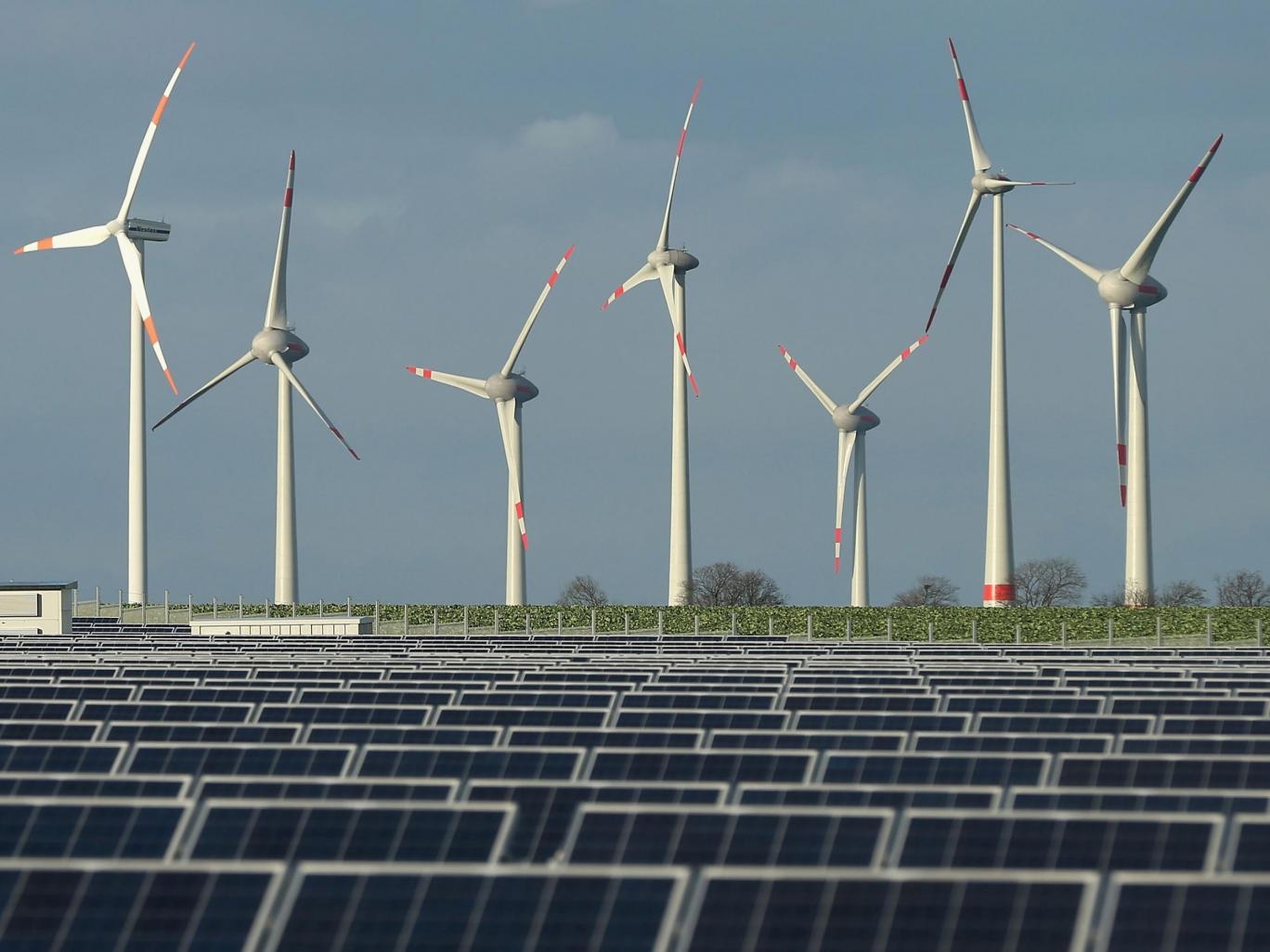 People Are Now Being Paid to Consume Electricity