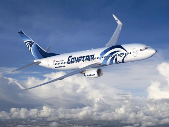 Egyptian head of air accident investigation: Egypt to lead committee investigating missing EgyptAir plane; committee will also include France
