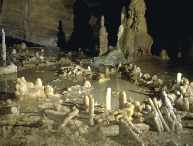 Researchers Find 175,000-Year-Old Caves Built by Neanderthals